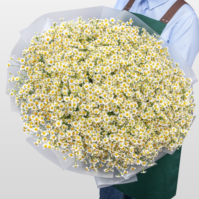 Букет Ромашек «Ромашковое поле»