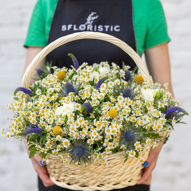 Композиция из Ромашек, Фрезий и Вероники «Счастье в корзине»