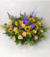Подсолнечное утро Подсолнечное утро