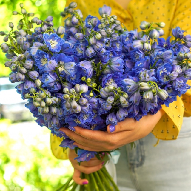 Букет из дельфиниума «Грозовое Небо»