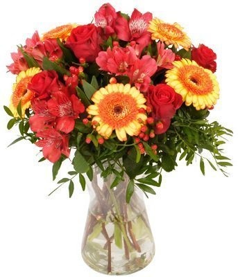 Букет с Герберами и Розой «Теплые пожелания»