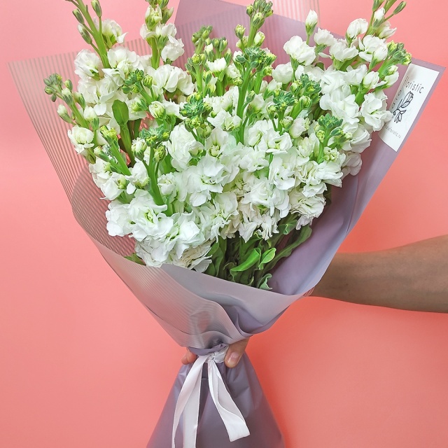 Букет из белой Маттиолы