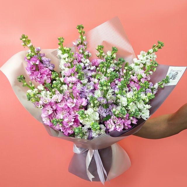 Букет из разноцветных Маттиол «Вечерняя Звезда»