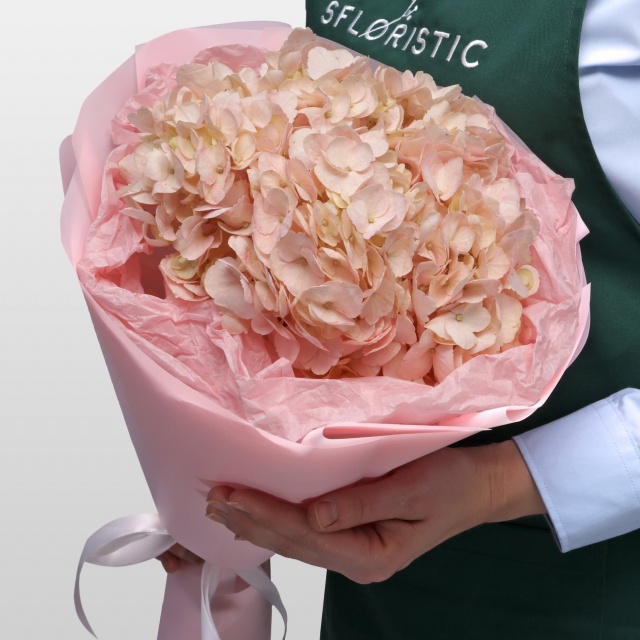 Букет из Гортензии «Розовая гортензия»