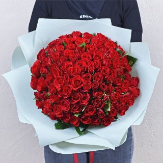 Роза Кения красная-2 101шт 40 см
