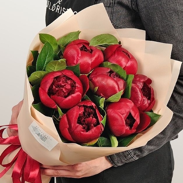 Букет из бордовых Пионов «Ред Шарм»