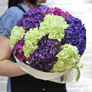 Букет из Гортензий «Амазонка»