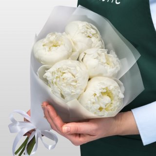 Букет из белых Пионов «Белый ангел» 5шт.