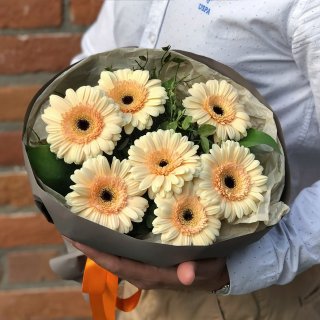 Букет из кремовых гермини 