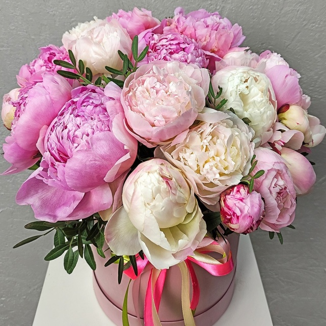 Композиция из Пионов в шляпной коробке «Нежность в руках»