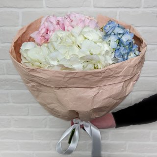 Букет из разноцветных Гортензий «Акварельный микс»