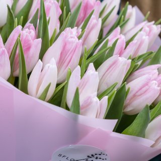 Букет из нежно-розовых тюльпанов 31 шт «Весенняя нежность»