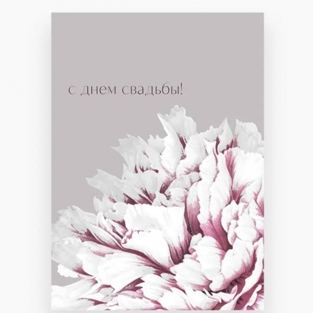 Открытка «С Днем Свадьбы!» Открытка «С Днем Свадьбы!»