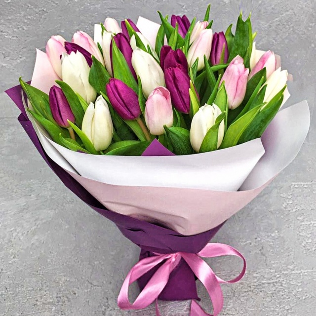 Букет из Тюльпанов 25 шт «Понимающей»