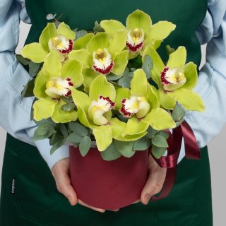 Букет из Гортензии, Гвоздики, Орхидеи «Белоснежный зефир»