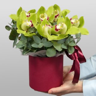 Букет из Гортензии, Гвоздики, Орхидеи «Белоснежный зефир»
