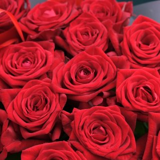 Букет из красных Роз 15 шт 60 см «Артемида»