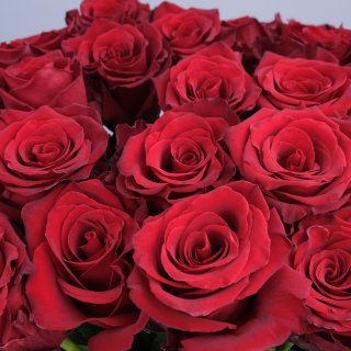 Букет из красных Роз 25 шт 100 см «Аурелия»