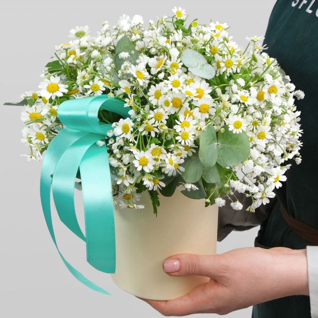 Композиция из Ромашки и Гипсофилы в шляпной коробке «Нежная Любовь»