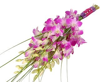 Букет из розовых Орхидей «Весеннее обаяние»