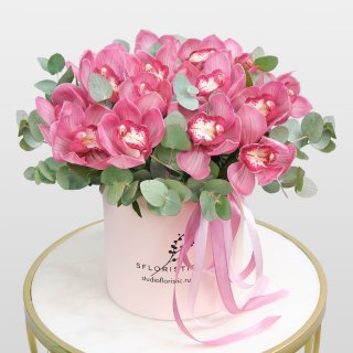 Композиция из розовых Орхидей «Лола»