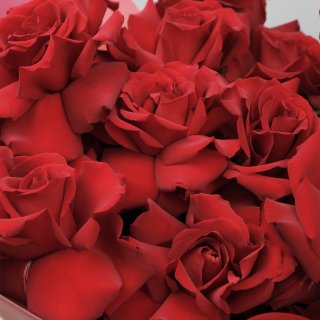 Букет красных Роз «Огонь Любви»