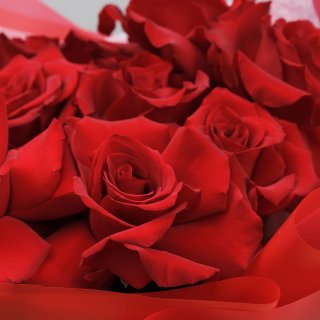 Букет красных Роз «Сириус»