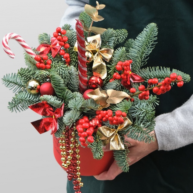 Композиция из Нобилиса, Илекса «Красная Зимушка»