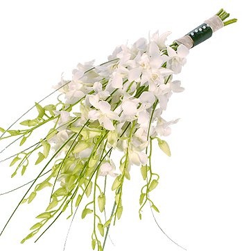 Букет из белых Орхидей «Летняя любовь»