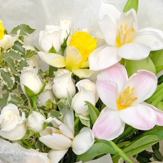 Букет из Нарцисса, Тюльпана и кустовых Роз «Первый лучик»