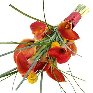 Букет из оранжевых Калл «Одна на миллион»