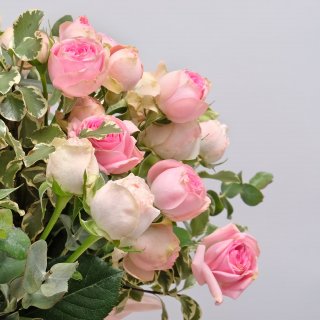 Композиция из кустовых Роз «Эсмеральда»