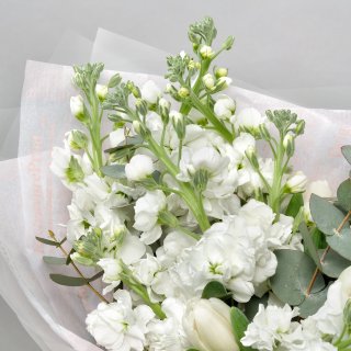 Букет из Тюльпанов и Маттиол «Белая Нежность»