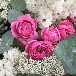 Букет из Сирени, Озотамнуса и кустовых Роз «Воздушный поцелуй»