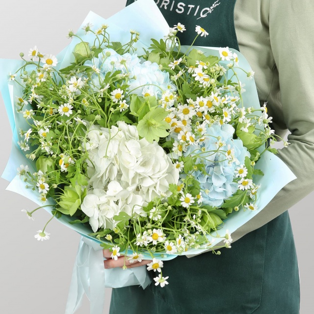 Букет из Гортензий и Ромашек «Легкий ветерок» Букет из Гортензий и Ромашек «Легкий ветерок»