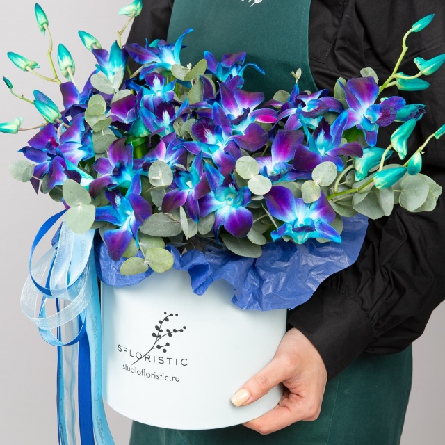 Композиция из синих Орхидей в шляпной коробке «Звездная Ночь»