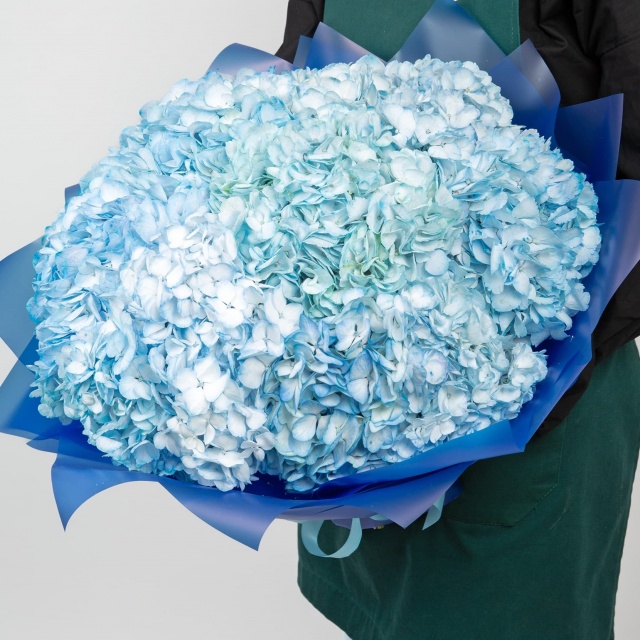 Букет Гортензий 15 шт «Нежные грёзы»