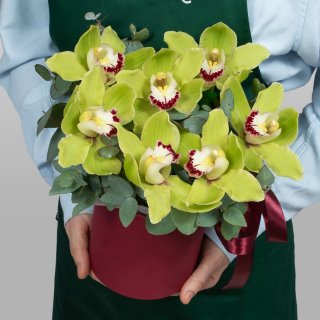 Композиция из Орхидей в шляпной коробке «Зеленый шелк»