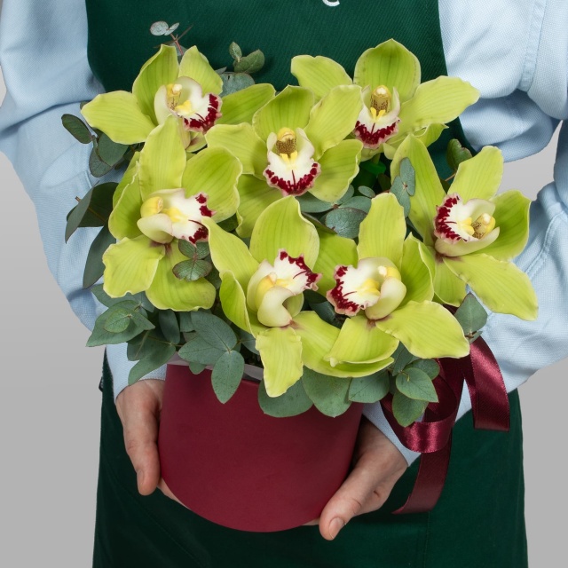 Композиция из Орхидей в шляпной коробке «Зеленый шелк»