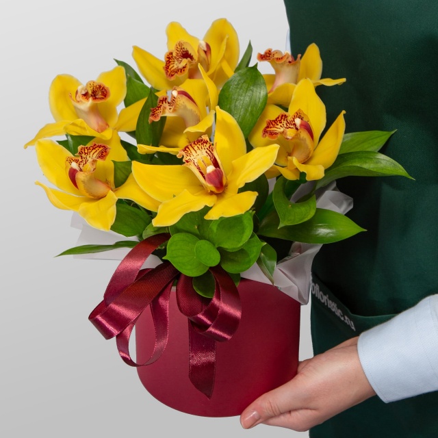 Композиция из Орхидей в шляпной коробке «Тепло тропиков»