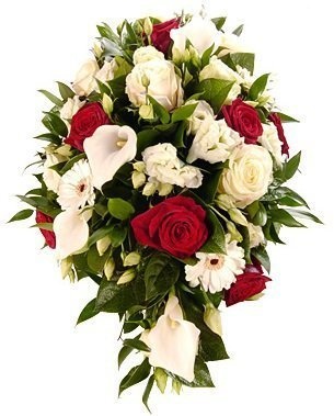 Композиция из Калл, Роз и Гербер «Красно-белое дыхание»