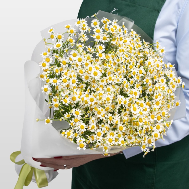 Букет Ромашек «Тепло лета»