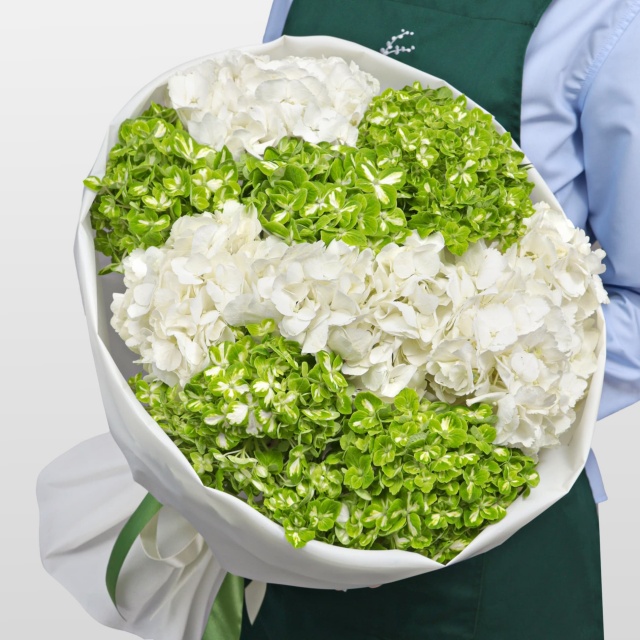Букет из Гортензий «Снежная мята»