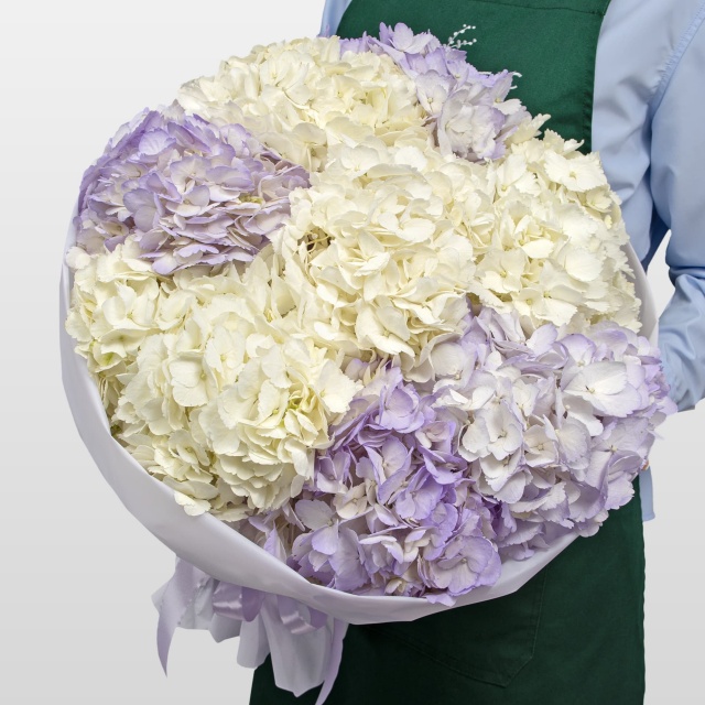 Букет из Гортензий «Сиреневая Мечта»