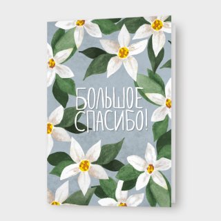 Открытка с жасминами «Большое спасибо!»