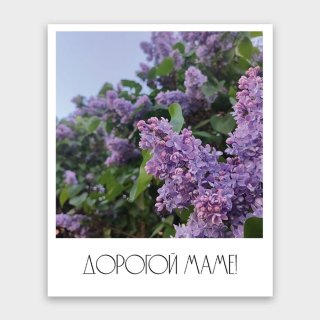 Открытка-фотокарточка «Дорогой маме!»
