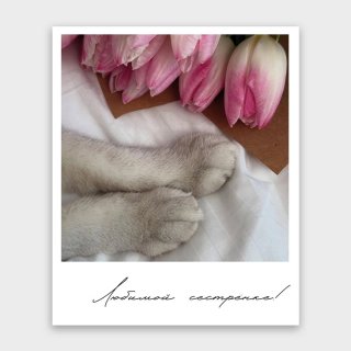 Открытка-фотокарточка «Любимой сестренке!»