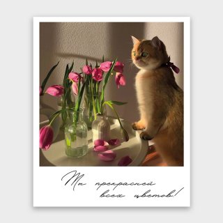 Открытка-фотокарточка «Ты прекрасней всех цветов!»
