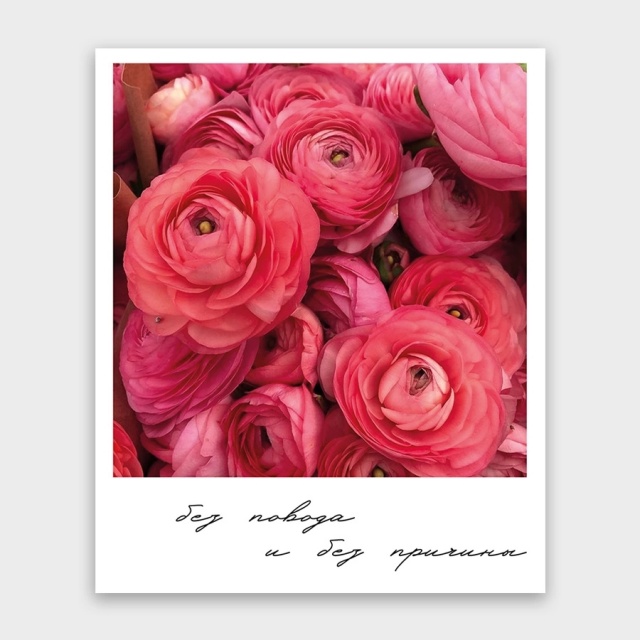 Открытка-фотокарточка «Без повода и без причины»