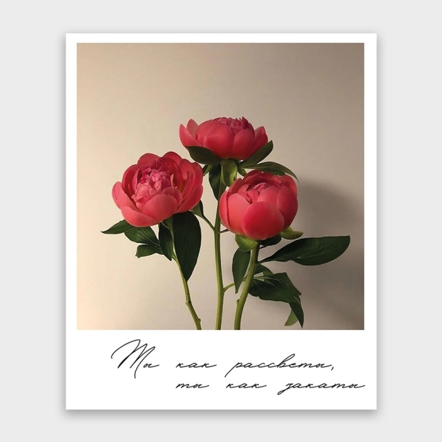 Открытка-фотокарточка «Ты как рассветы, ты как закаты!» Открытка-фотокарточка «Ты как рассветы, ты как закаты!»